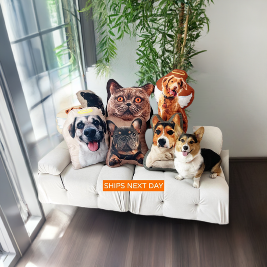 Custom Pet Pillows – Cozy Companionship